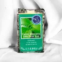 在飛比找蝦皮購物優惠-一塊200g 買10送1  左手香皂 手工皂 左手香 過手香