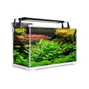 Dynamic Power Aquarium Fish Tank 39L Starfire Glass