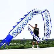 DSJUGGLING 3D Colorful Dragon Silk Flowy Spinning & Shaking Poi - Flinging The Dragon Spiral Practice Ribbon Streamer with Fiberglass Handsticks + Travel Bag! (6 Meters (19.6 FT), Blue Scale Color)