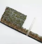 Natural Pheasant Feather Trim Fringing Ribbon 50cm 1 2 5 or 10 Metre DIY Craft