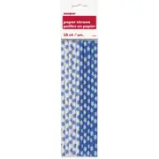 Snowflake Paper Straws (Pack of 10)