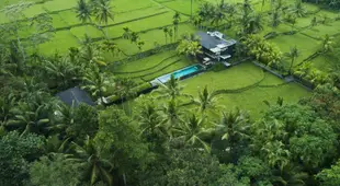 Ashoka Luxury Villa