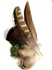 5pcs Natural 5-19cm Mixed Pheasant Peacock Feather Pack Home Decor DIY Art Craft