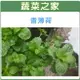 【蔬菜之家】K10.香薄荷(綠薄荷)種子(共有2種包裝可選)