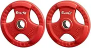 Everfit Weight Plates Olympic 15kgx2 Dumbbell Barbell Plate Weight Lifting Gym