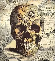 Dishwasher Magnet Cover, Halloween Tatoo Skull Floral Reuseable Refrigerator Magnet Cover Decal for Front Door Panel Decorative Kitchen Dishwasher Sticker for Fridge Microwave Holiday, 23"x26"