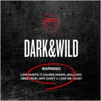 在飛比找博客來優惠-BTS防彈少年團 / 第1張專輯 DARK&WILD (韓國