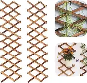 Iceyyyy Wood Lattice Wall Planter - 2Pack Expandable Hanging Wooden Planter Trellis Frame, Indoor Air Plant Vertical Rack Wall Decor for Room Garden