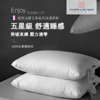在飛比找蝦皮購物優惠-五星飯店羽毛枕頭 3M防螨抗菌枕 100%純棉枕套 飯店枕頭