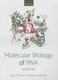 在飛比找博客來優惠-Molecular Biology of RNA