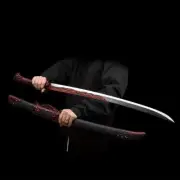 Red Dragon BroadSaber Jian High Carbon Steel Blade Sharp Knife Sword Katana