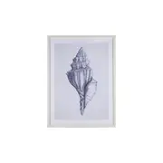 Maine & Crawford Belze 80x60cm Blue Watercolour Shell Canvas Wall Art Decor
