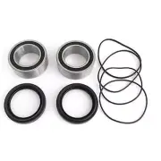 EPI Wheel Bearing Kit - WE301441 WE301441