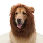 IN7 寵物獅子假髮頭套 搞怪變身寵物創意服飾
