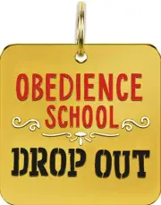 Primitives by Kathy dog tag Obedience School Drop Out