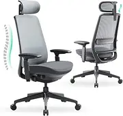 [COLAMY] Ergonomic Office Chair, Mesh Office Chair, High Back Office Chair, Computer Executive Desk Chair, Office Chair Lumbar Support with Adjustable Headrest and 4D Arms, Slide Seat-BlackGrey