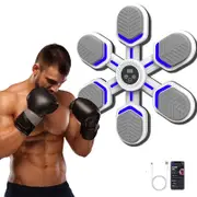 Catzon Bluetooth Music Boxing Machine Punching Equipment for Home Workouts
