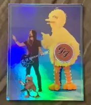 DAVE GROHL/Big Bird/Elmo VINTAGE LOOK HOLO DECAL/Sticker 4x3 FOO FIGHTERS Sesame