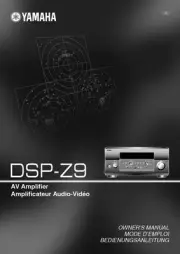 Yamaha DSP-Z9 Amplifier Owners Manual