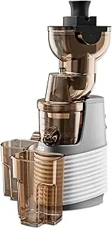 [MIUI] Slow Masticating Juicer Extractor Easy to Clean, Cold Press Juicer Machines with Stainless Steel strainer (FFS6), Juice Extractor with Quiet Motor & Reverse Function, 250W,Professional