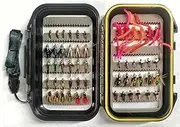 wifreo Fly Fishing 54 Nymph Flies Assortment BH Wet Fly for Trout Flyfishing with Waterproof Fly Box