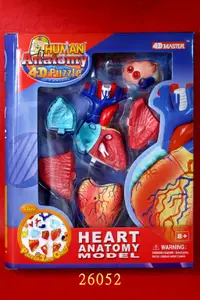 在飛比找誠品線上優惠-4D MASTER HUMAN模型/人體心臟