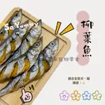 毛寶家原樣系列A2 / 柳葉魚