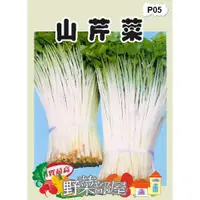 在飛比找蝦皮購物優惠-【萌田種子~】P05 日本山芹菜種子1.8公克 , 又稱"鴨