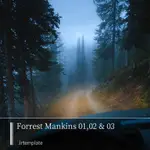 福雷斯特·曼金斯LR LIGHTROOM戶外旅拍風光探險森林攝影照片預設