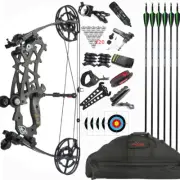 Archery Carbon Compound Bow 40-70lbs Archery Sports Target Hunting Shoot RH & LH