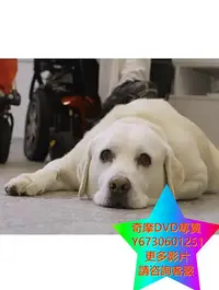 在飛比找Yahoo!奇摩拍賣優惠-DVD 專賣 狗狗之家澳洲篇/狗狗之家第二季 紀錄片 202