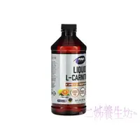 在飛比找蝦皮購物優惠-*二姊養生坊*~Now Foods, L-Carnitine