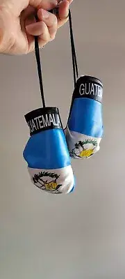 GUATEMALA flag Mini Boxing Gloves for Car Truck Bus Jeep SUV RV Decor Rear-View