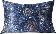 MANSPHIL Navy Blue Galaxy Printed Mulberry Silk Pillowcase Standard Size, Both Sided 22 Momme 100% Silk Pillow Cases Cover for Hair and Skin with Zipper Closure, 20" x 26"
