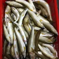 在飛比找蝦皮購物優惠-野生溪魚，香魚、苦花魚、石賓魚、大頭鰱、草魚