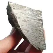 482.0g Muonionalusta meteorite part slice QC752
