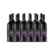 12 Bottles of 2024 Contrast Shiraz 750ML