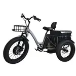 48V 1000W FAT EBIKE 電動三輪車 3 輪全懸吊電動自行車