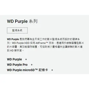 WD 威騰 WD82PURZ 紫標 8TB 3.5吋監控系統硬碟 使用約二年 保固至20240520