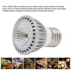 Basking Light Bulb UVA UVB Concave And Convex Mirror Full Spectrum LED