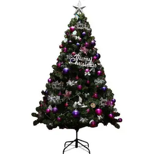 聖誕樹加密家用1.2/1.5/1.8米套餐DIY聖誕節裝飾品聖誕樹發光