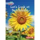 Let’’s Look at Sunflowers