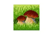 "Mushrooms" Printed Canvas for Cross Stitch Tapestry Gobelin Embroidery 1838
