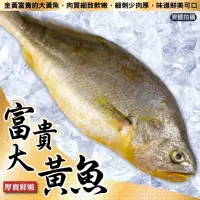 在飛比找momo購物網優惠-【三頓飯】野生整尾黃魚(5尾_250g/尾)