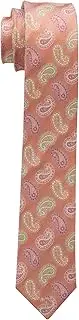 Isaac Mizrahi Big Boys' Paisley Skinny Necktie