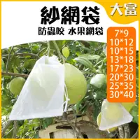在飛比找蝦皮購物優惠-【大富大貴】台灣現貨！水果套袋、水果網袋、防蟲網袋、紗網袋、