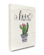 Stupell Love Grows Here Cactus