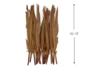 10 Pieces -Light Brown Goose Pointers Long Primaries Wing Feathers Costume Angel