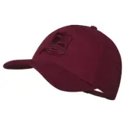 SNAPBACK CAP POTENT PURPLE Canterbury BNWT