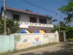 熱帶海龜民宿TropiTurtle Guesthouse